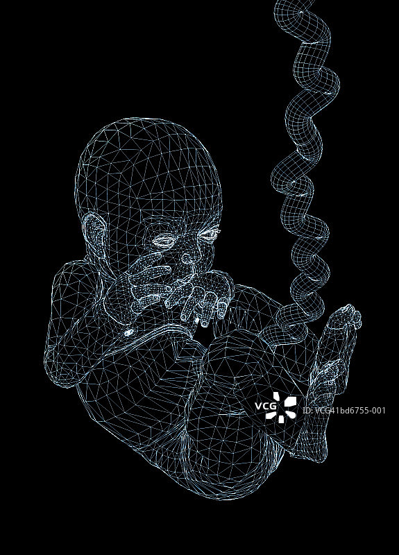 婴儿与脐带边框（数字作品）图片素材