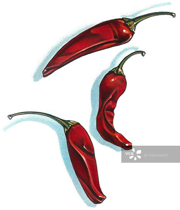 辣椒图片素材
