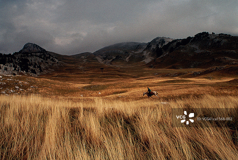 法国罗纳-阿尔卑斯伊泽尔韦科尔高原上的马和骑手图片素材