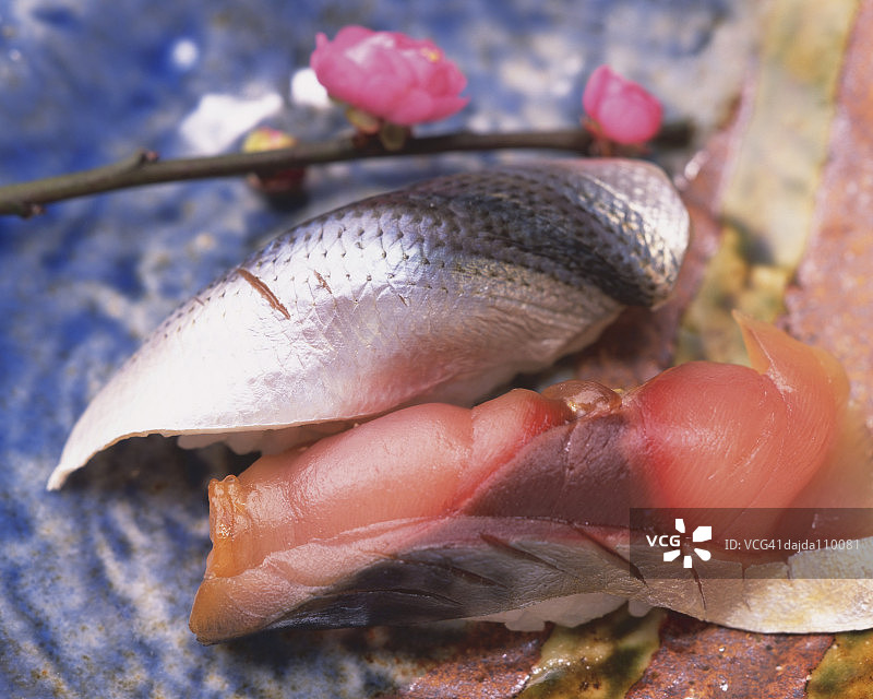 鲭鱼和小鳍寿司图片素材