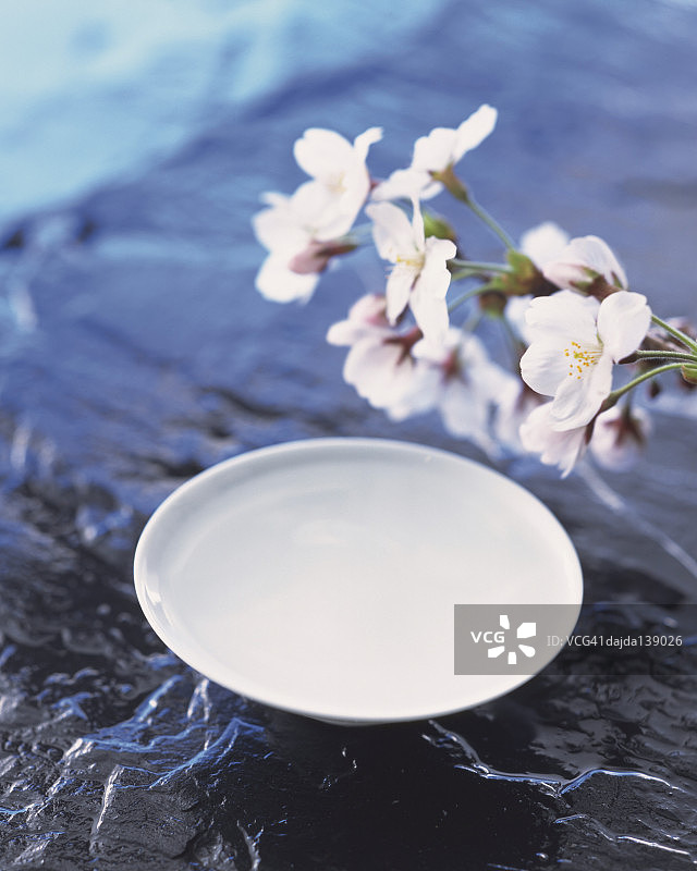 樱花与清酒杯图片素材