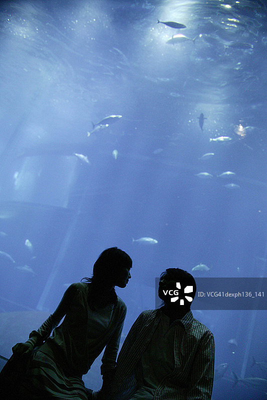 站在水族箱旁的年轻情侣剪影图片素材