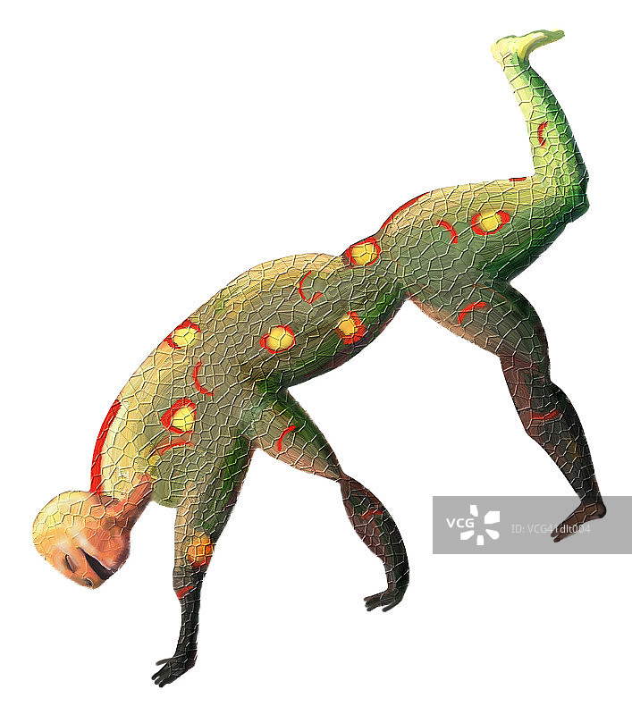 蜥蜴生物图片素材