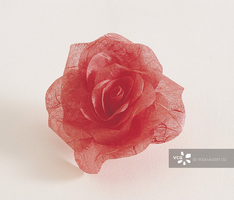 玫瑰和薄纸图片素材