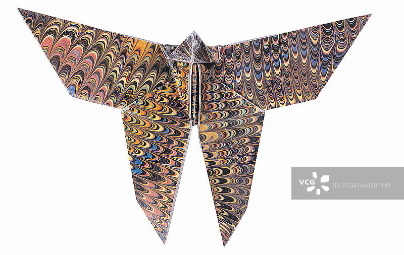 纸蝴蝶图片素材