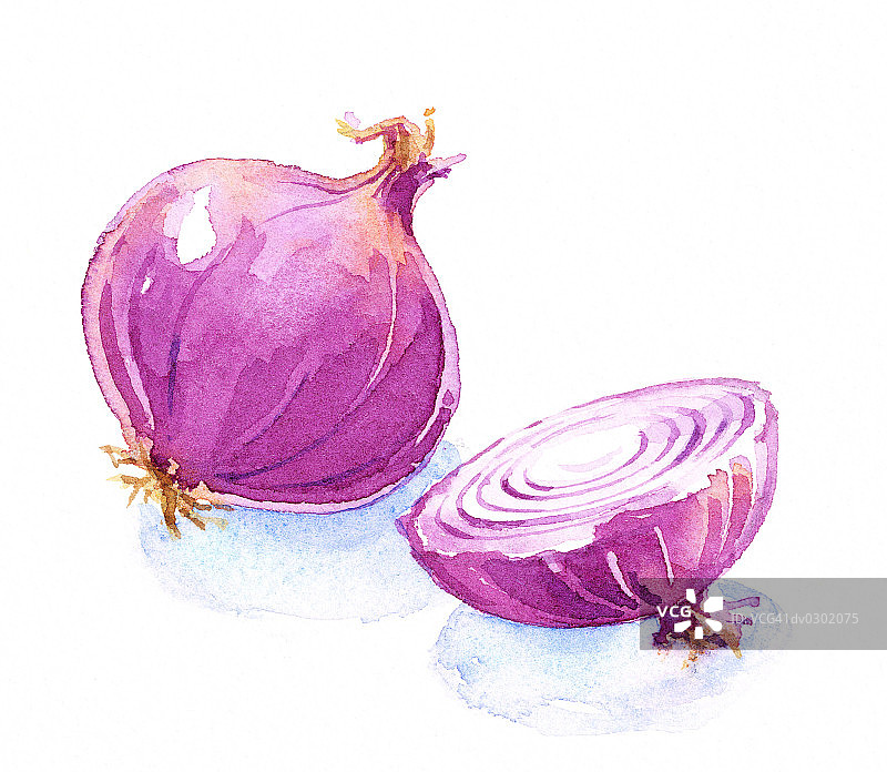 红洋葱图片素材