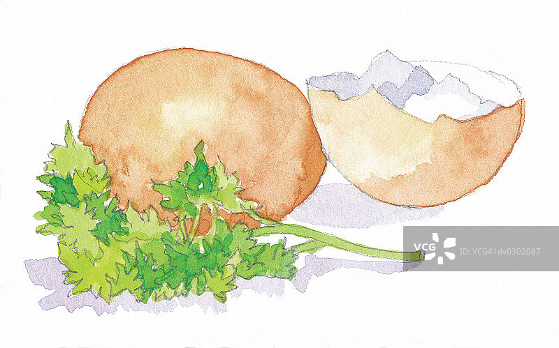 欧芹装饰的鸡蛋和蛋壳图片素材