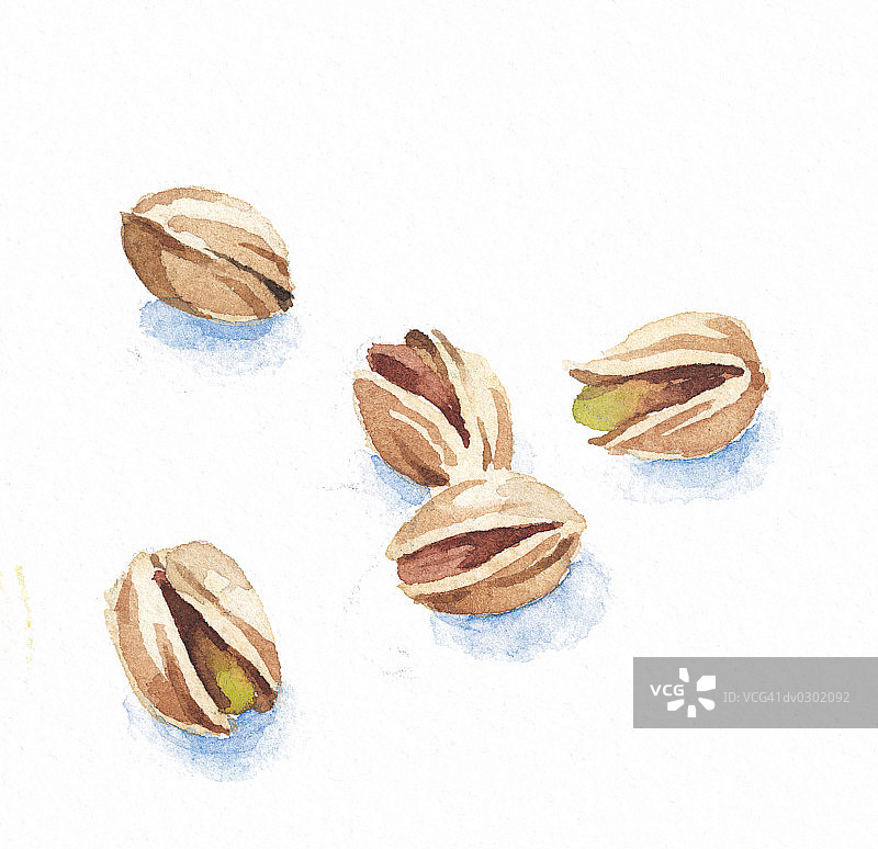 开心果图片素材