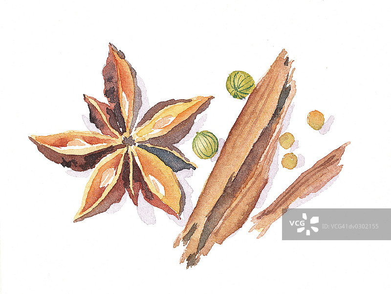 八角茴香和桂皮棒图片素材