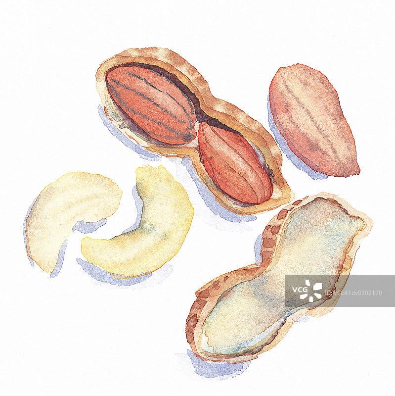 花生和腰果图片素材