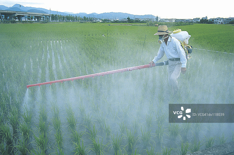 在日本稻田里喷洒农药图片素材