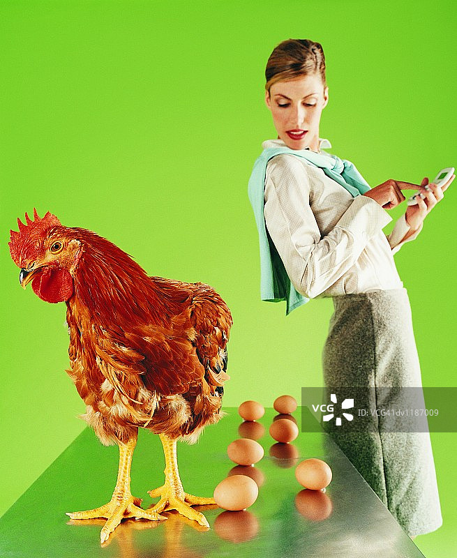 女商人计算母鸡下的蛋图片素材
