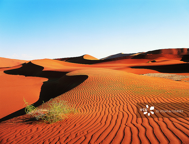 纳米比亚苏索斯维莱国家公园沙漠图片素材