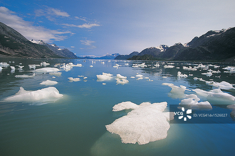 塔爾 inlet 的浮冰，冰川灣國家公園，阿拉斯加，北美洲图片素材