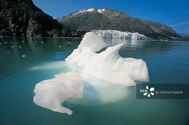阿拉斯加冰川湾国家公园塔爾 inlet 水域中漂浮的冰川冰图片素材