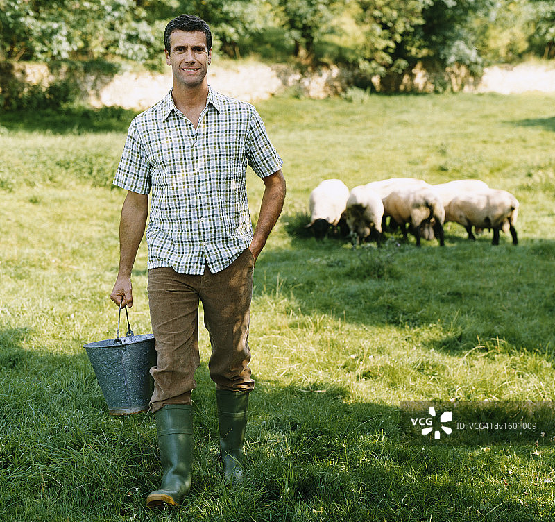 农民在田野里提着水桶，和小群绵羊在一起图片素材