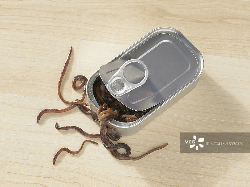 一罐蠕虫图片素材