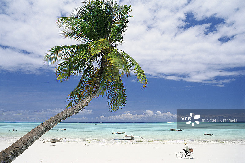 坦桑尼亚桑给巴尔天堂海滩图片素材