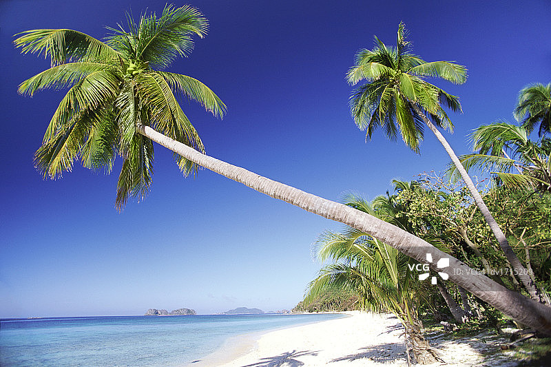 菲律宾巴拉望图片素材