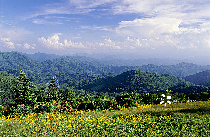 美国北卡罗来纳州米切尔县的蓝岭山脉和野花田图片素材