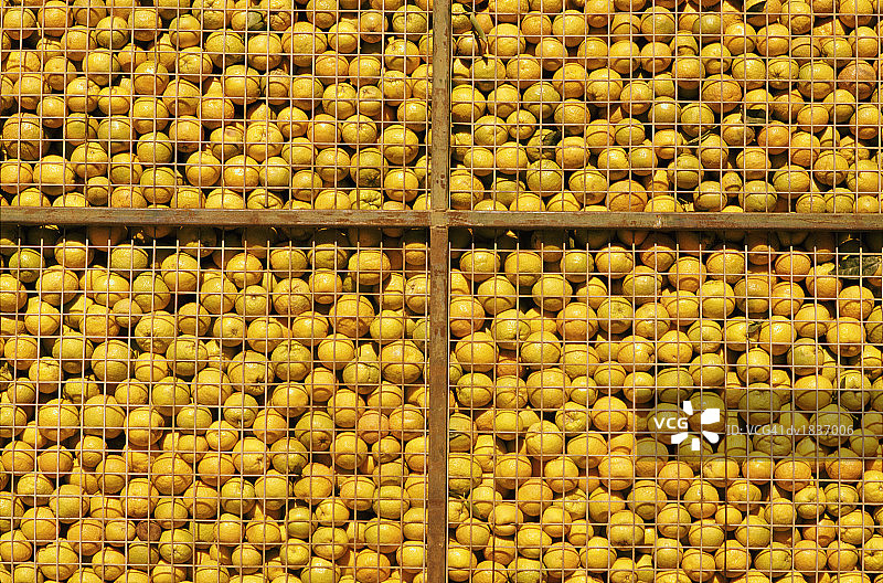 箱装柠檬全画幅图片素材