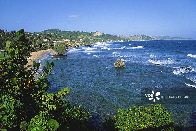 巴巴多斯东海岸的拔示巴海岸线图片素材