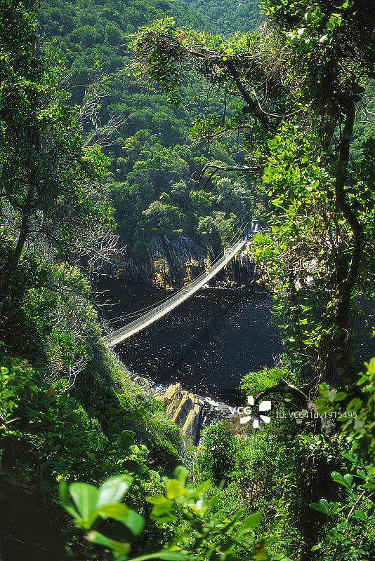 齐齐卡马国家公园风暴河上的行人桥，南非图片素材