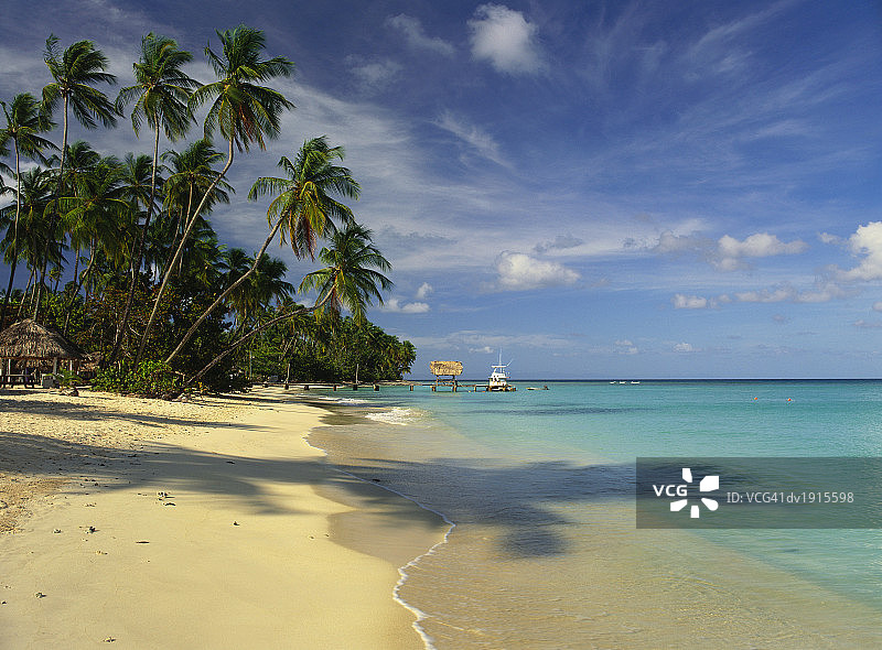 加勒比海多巴哥的鸽子角图片素材