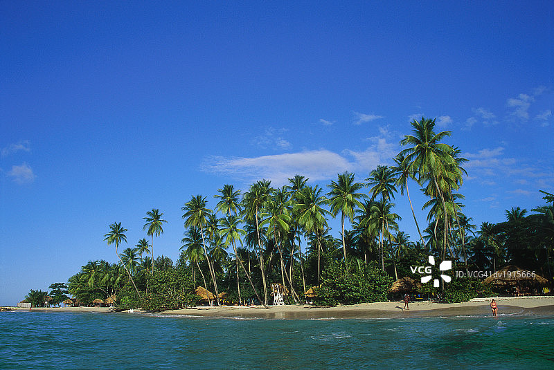 加勒比海多巴哥的鸽子角图片素材