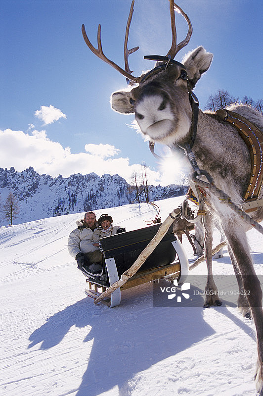 情侣乘坐鹿拉的雪橇图片素材