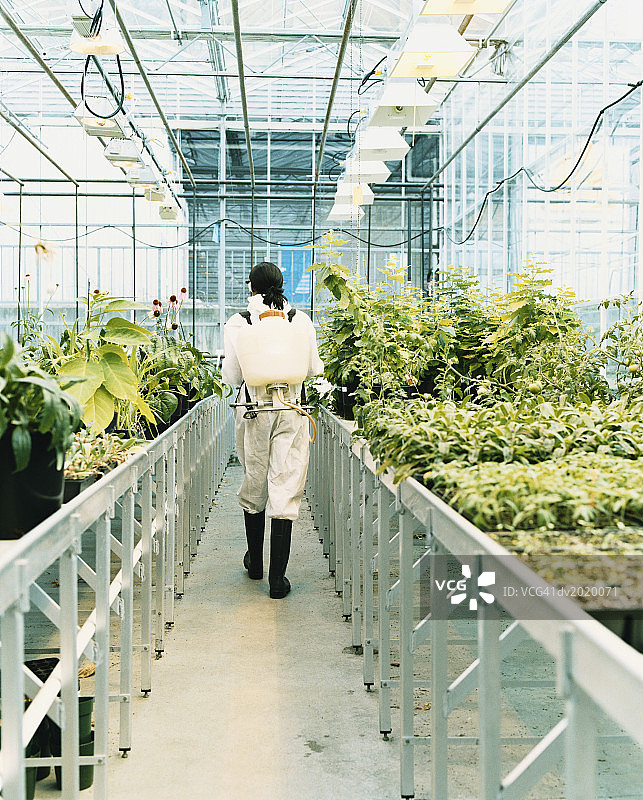穿着防护服走过植物温室的女人图片素材
