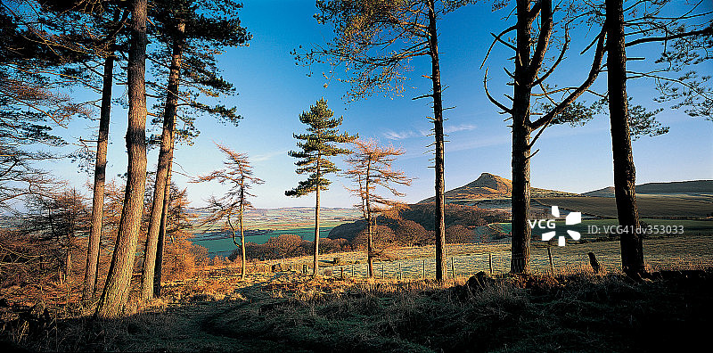 林地和乡村图片素材