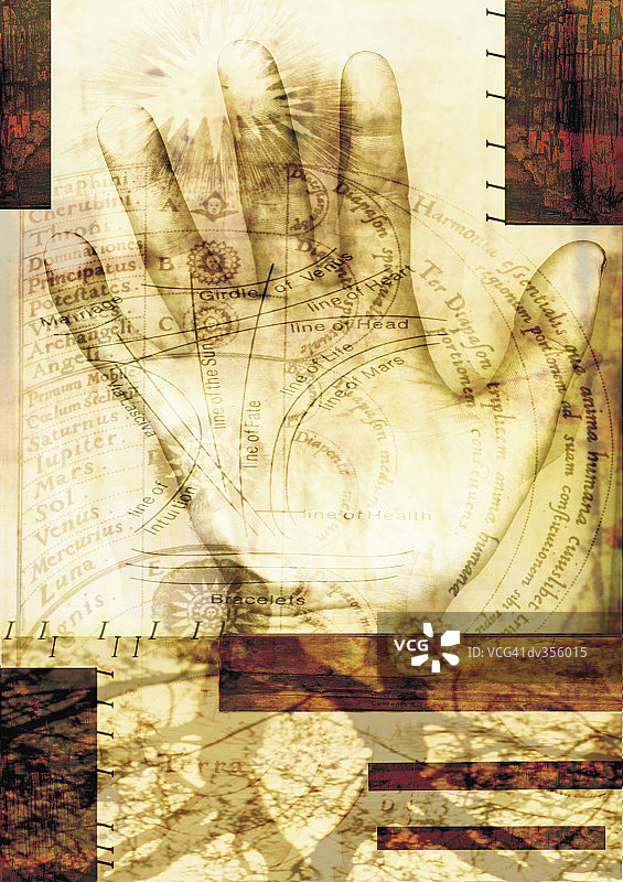 手相术和手相解读图图片素材