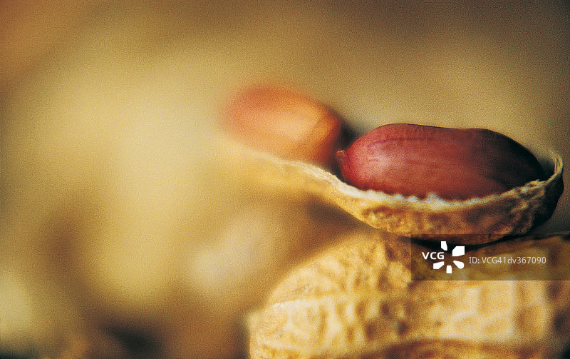 打开的花生特写图片素材