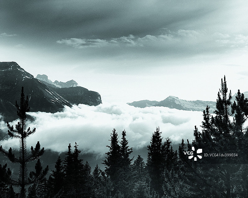 森林和山脉景观图片素材