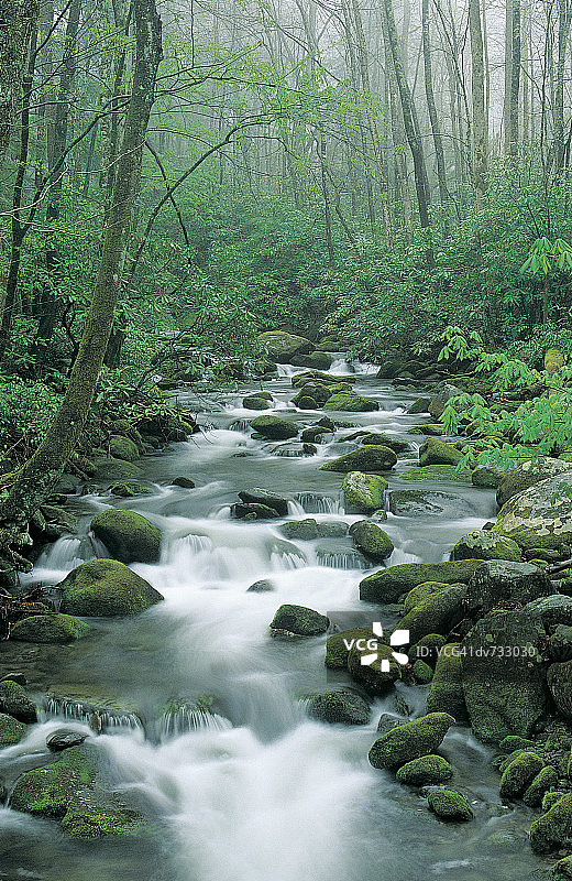 美国田纳西州大雾山国家公园咆哮叉河图片素材