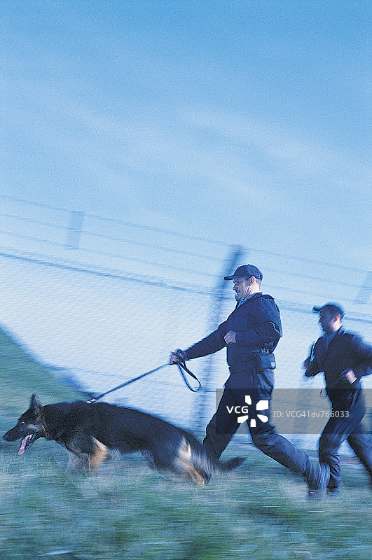 保安牵着警犬奔跑图片素材