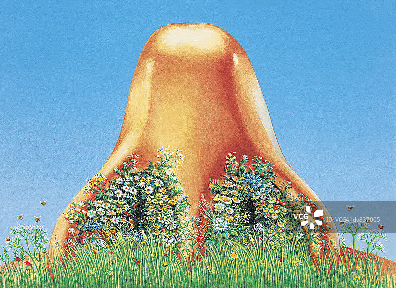 大鼻子闻花图片素材