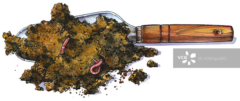 泥刀和土壤图片素材