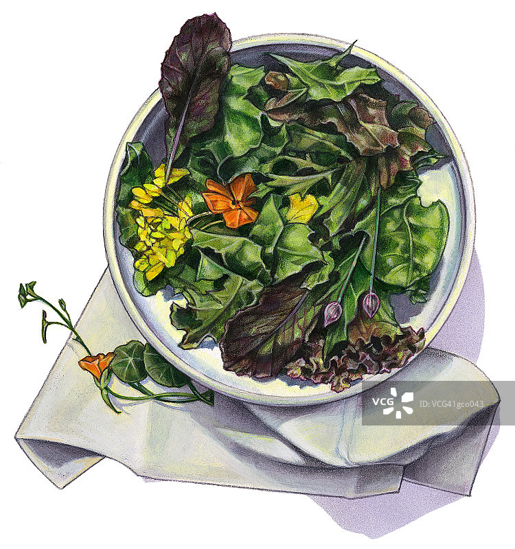 旱金莲沙拉图片素材