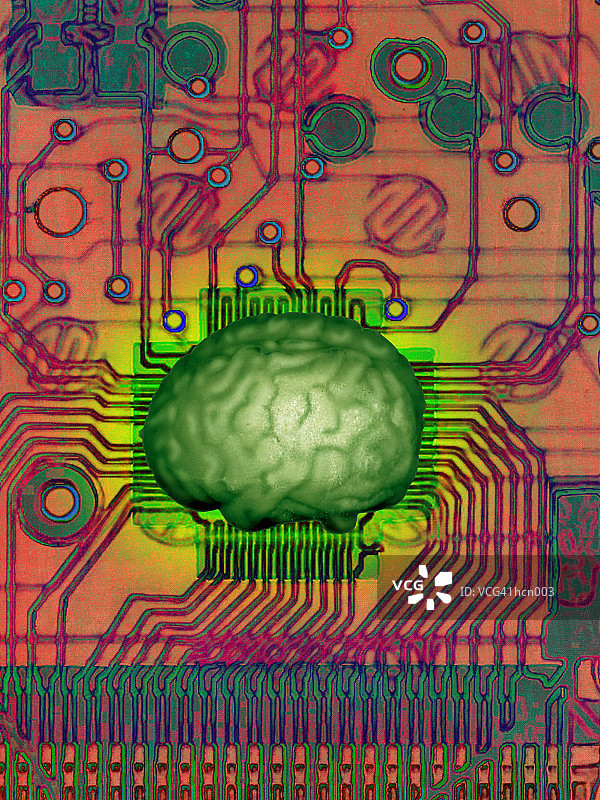大脑与神经系统图片素材