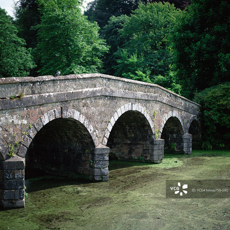 树木附近的桥梁图片素材