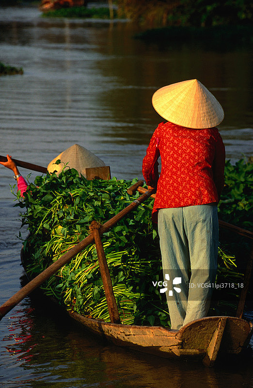在越南湄公河三角洲，女人们划着装满蔬菜的船图片素材
