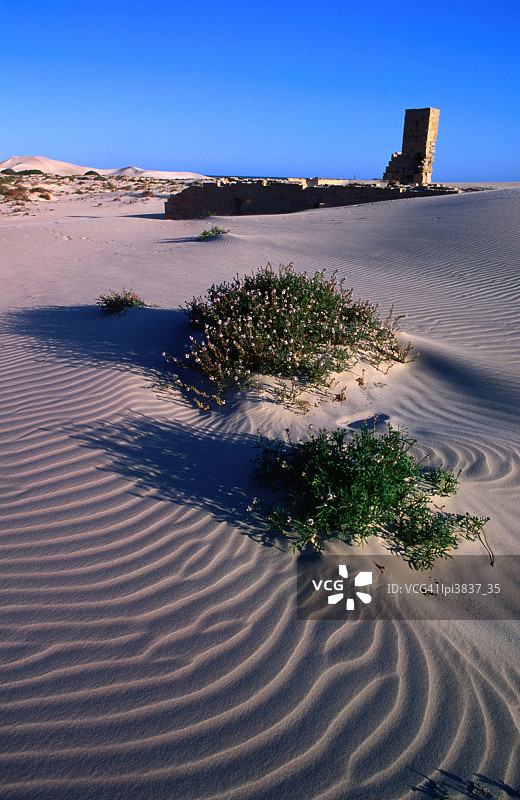 澳大利亚尤克拉国家公园的电报中继器和气象站遗址图片素材