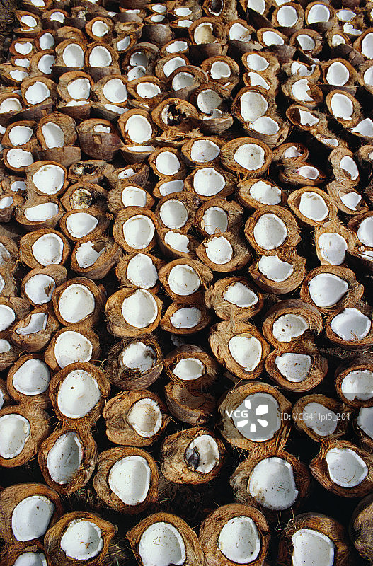 印度尼西亚巴厘岛Candidasa路边的椰子晾晒场景图片素材