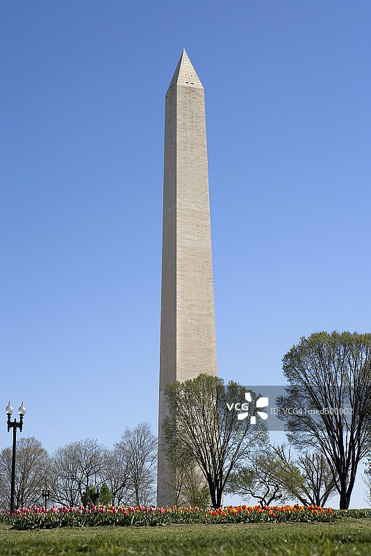 华盛顿哥伦比亚特区国家广场的华盛顿纪念碑，美国图片素材