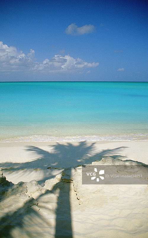 加勒比海特克斯和凯科斯群岛普罗维登西亚莱斯岛格雷斯海湾沙滩上的棕榈树阴影图片素材