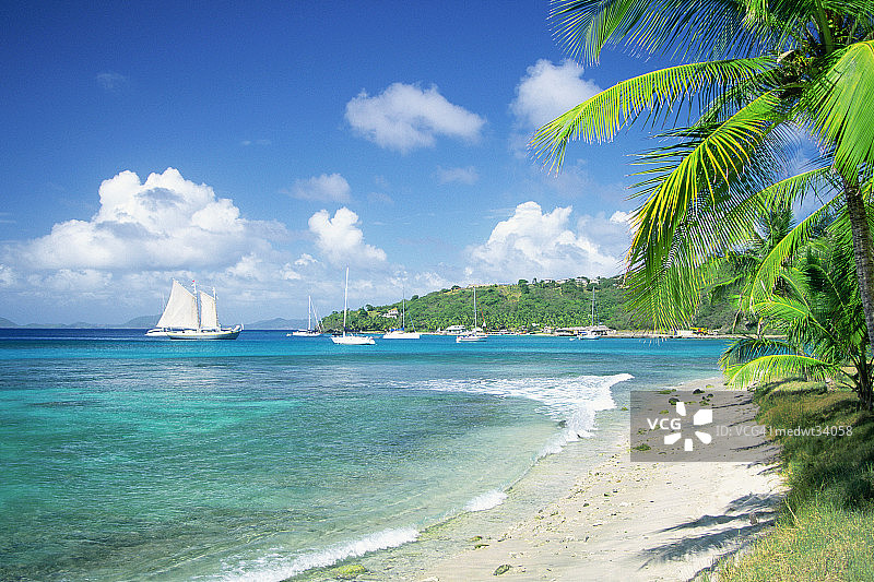 加勒比海，格林纳丁斯，不列颠海湾，马斯蒂克岛，海滩景观图片素材