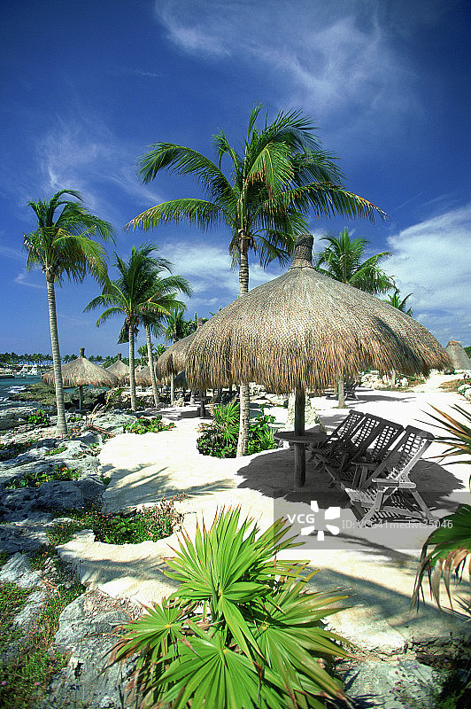 墨西哥希卡莱特海滩上的海滩遮阳伞图片素材