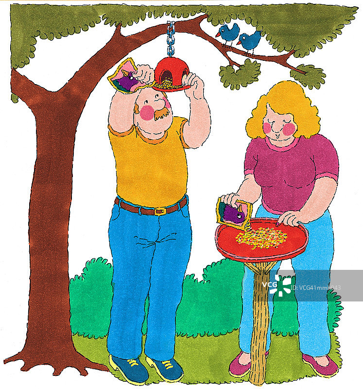 鸟类喂食器夫妇图片素材